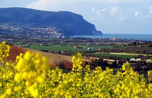 Villetta con giardino e parcheggio coperto - Foto 40