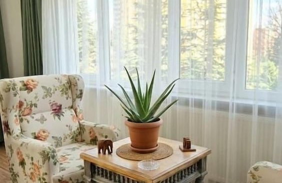 Kaira Homes Rentals and Accomodations - Foto 34