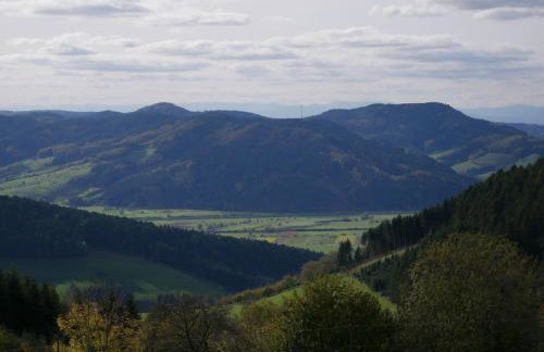 Schwarzwald Buchenhof - Foto 11