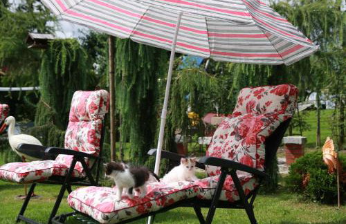 Dwór Barocco - Foto 24