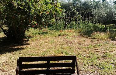 Country House tra lago e mare a Sud di Roma - Foto 31