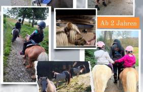 Ferienhaus auf dem Lusitanohof Jäger - Foto 27