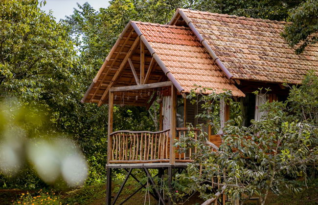 Du An Garden Retreat Forest - Photo 2