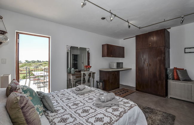 The Happy Cactus - Foto 12