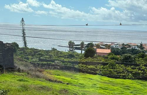 Cantinho da Maresia - Foto 49