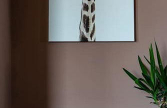 Stylish Beachfront Luxury Apartment, Sweeping Ocean Views and Log Burner - Foto 64