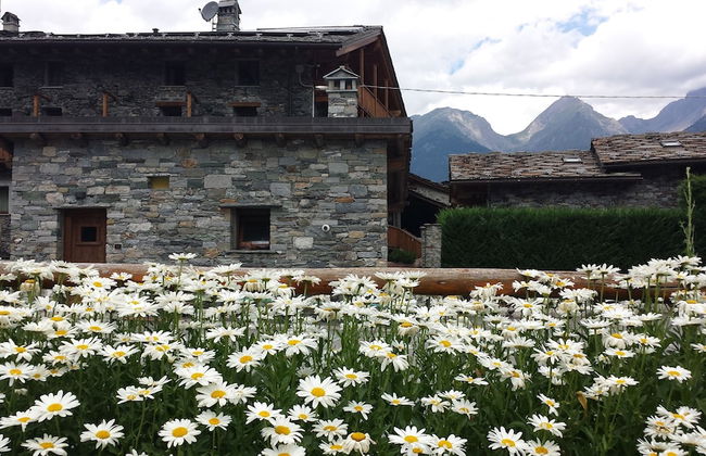 Residence Le Petit Coeur - Foto 63