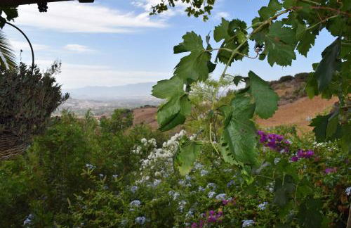 Casa Algarrobo by Rosas Cantares - Foto 18