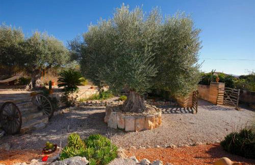 Quality Villa Es Molí - Foto 6