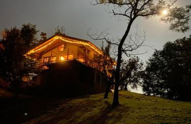 Il nocciòlo di Daisy - Foto 35