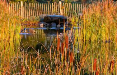 Traumkrone Ferienwohnungen - Himmelblau - Foto 42