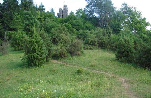 Ferienhof Hohe - Foto 18