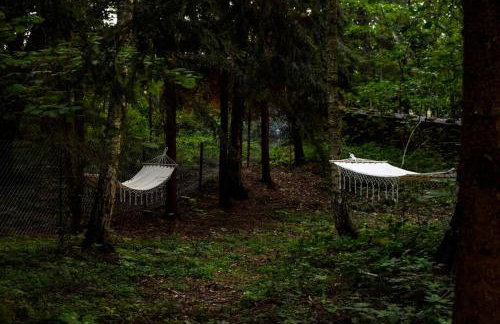 Okno na las - Foto 20