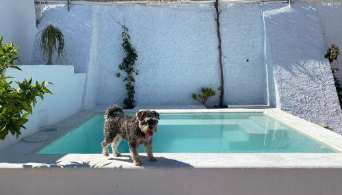 El Majuelo 2 - Foto 2