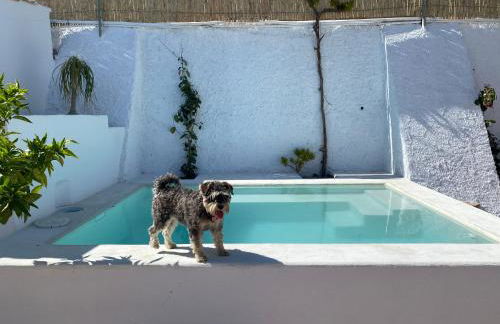 El Majuelo 2 - Foto 2