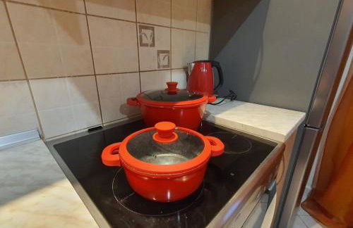 Flogita Dream - Foto 25