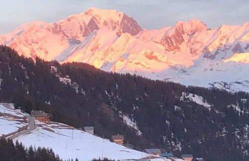 La Perle des Alpes C10 Apart.4* #Yolo Alp Home - Foto 35