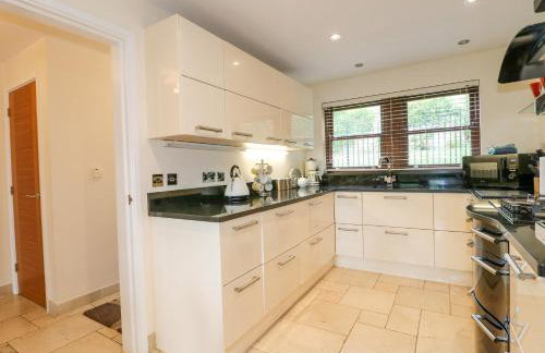 The Lillies - Foto 8