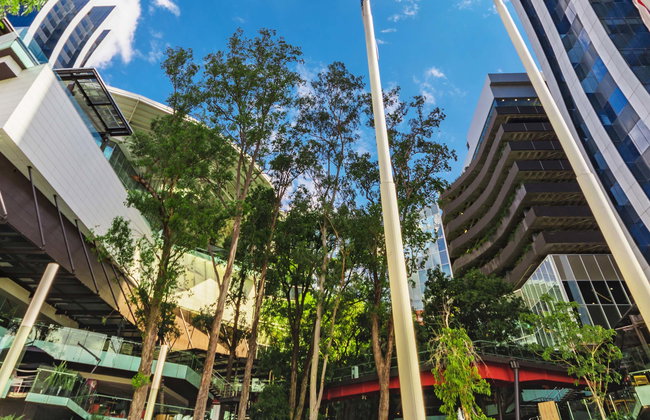 Asuncion Shopping Tour - Foto 1