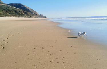 A Praia My Own Paradise T2 1º Andar - Foto 43