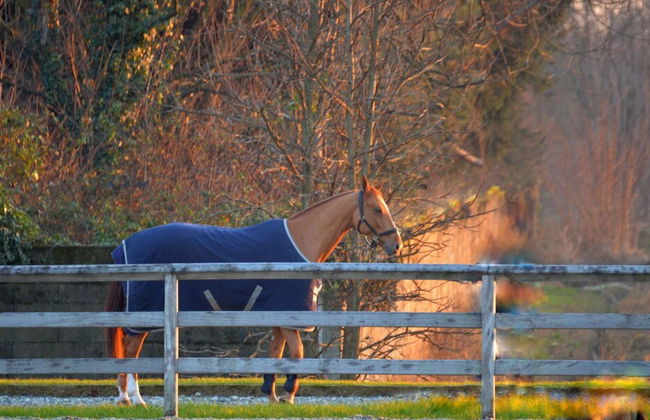 Agriturismo Il Boschetto - Photo 20