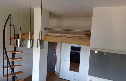 Apartamenty Kasztanowa Zator - Foto 15