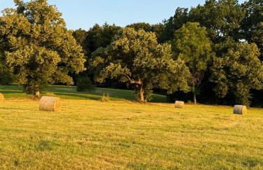 Romantik Unterkünfte Gut Rechetsberg - Foto 62