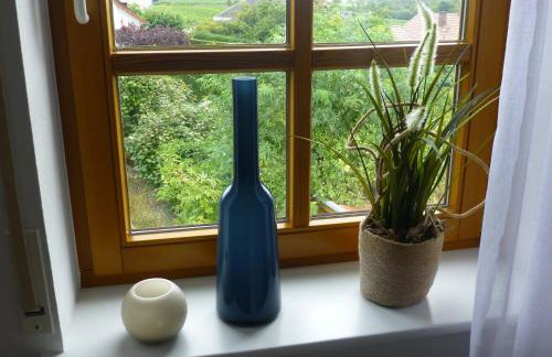 Winzerlodge, Wohnung Hatzelberg - Foto 9