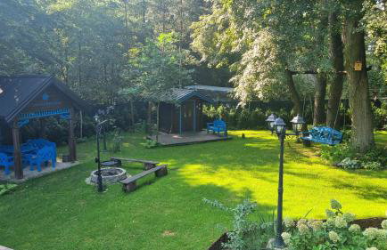 Niezapominajka - Foto 47