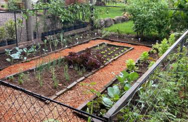 Cabanas Jardim dos Canyons - Foto 39