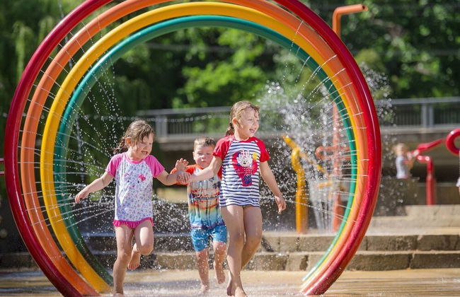 Mystic View Cottage Wandiligong - Foto 11