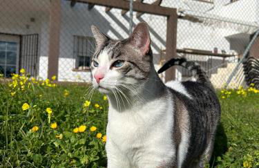 Lagunetas Rural Benalup - Foto 14