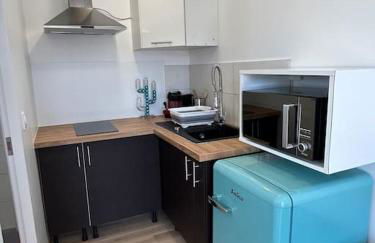 Ondres, studio classé, proche océan - Foto 5