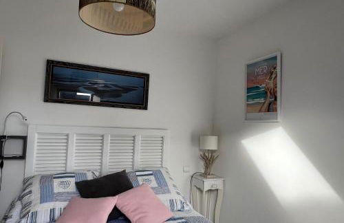 Maison Sarzeau - Penvins, 300m des plages dans impasse au calme, reposant - Foto 23