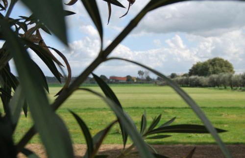 Agriturismo Torre Cristina - Foto 15