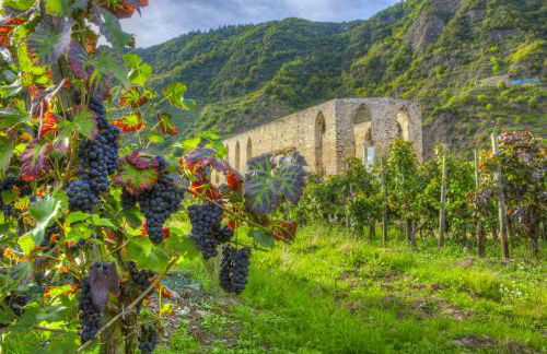 Ferienwohnung Wagner 4 Sterne - Photo 40