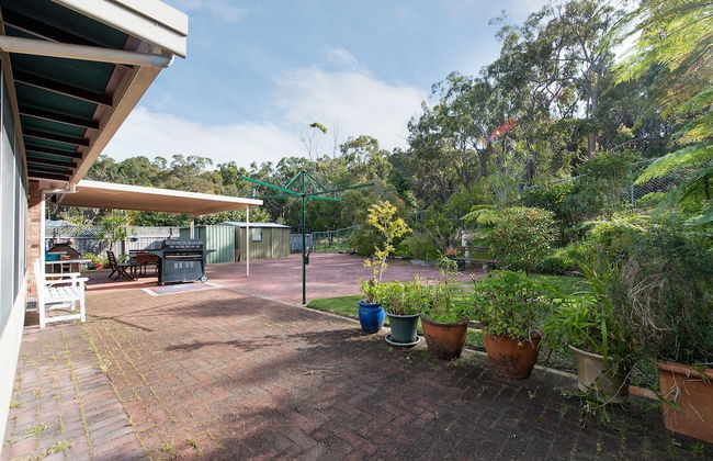 Wildflowers at Fingal Bay - Photo 16