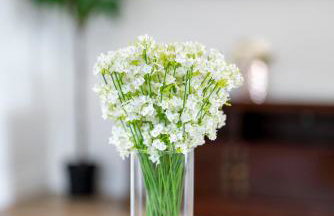 Cozy 2BR2BA Guest House in Alhambra - Foto 12