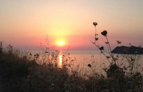 Little Bird Lesvos - Photo 14