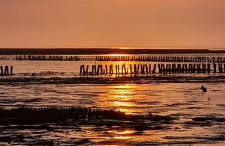 Ferienwohnung Bonishof - Foto 23