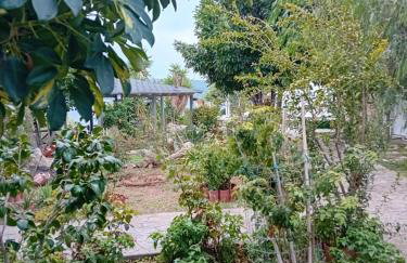 Katias Villa - Foto 36