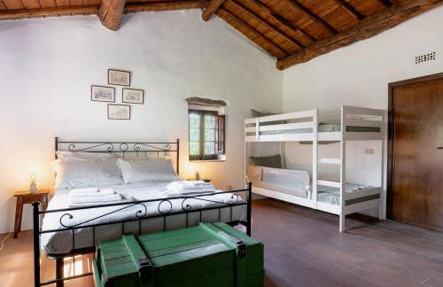 Podere il Giardino - Casale Rustico degli Ulivi con piscina e parco - Lucca - Foto 5