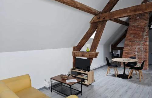 Appartement charmant à Beaugency, 60 m² + Douche moderne - Photo 1