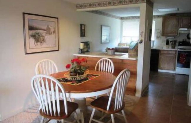 Mount Snow Condominiums - Photo 5