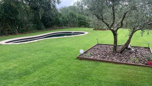 Cabanya en plena natura - Foto 4