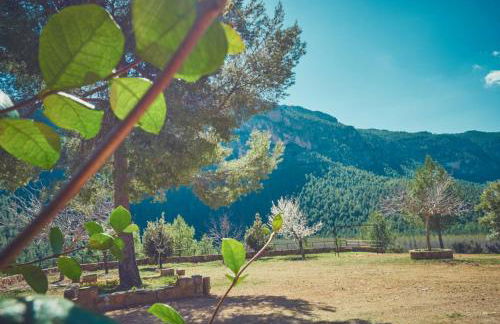 Casas Rurales El Portillo - Foto 21