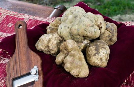 L'ORCHIDHEA APARTMENT - Foto 38