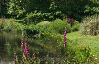 Polgwedhen Lodge - Photo 31