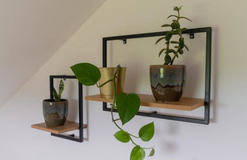 Deja View - Photo 25