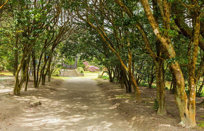 Casa dos Barcos Furnas - Foto 41